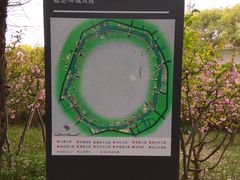 -嘉定紫藤园