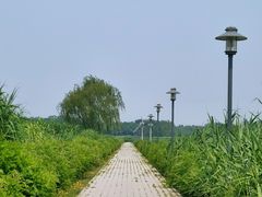 -大兴滨河森林公园