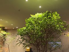 -森SPA·泰式按摩·精油Massage(宝安中心店)