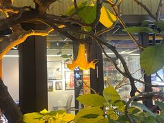 -嘉华鲜花饼·现烤(昆明老街店)