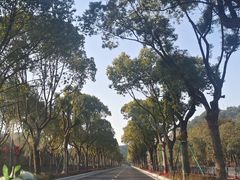 -东钱湖旅游度假区