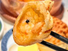 -点都德·毕德寮