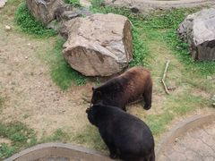-无锡动物园·太湖欢乐园