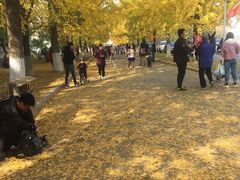 -辽东学院(南校区)