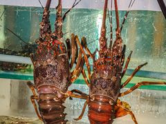 -碗中海·蒸汽海鲜·桑拿鸡(岭南天地店)