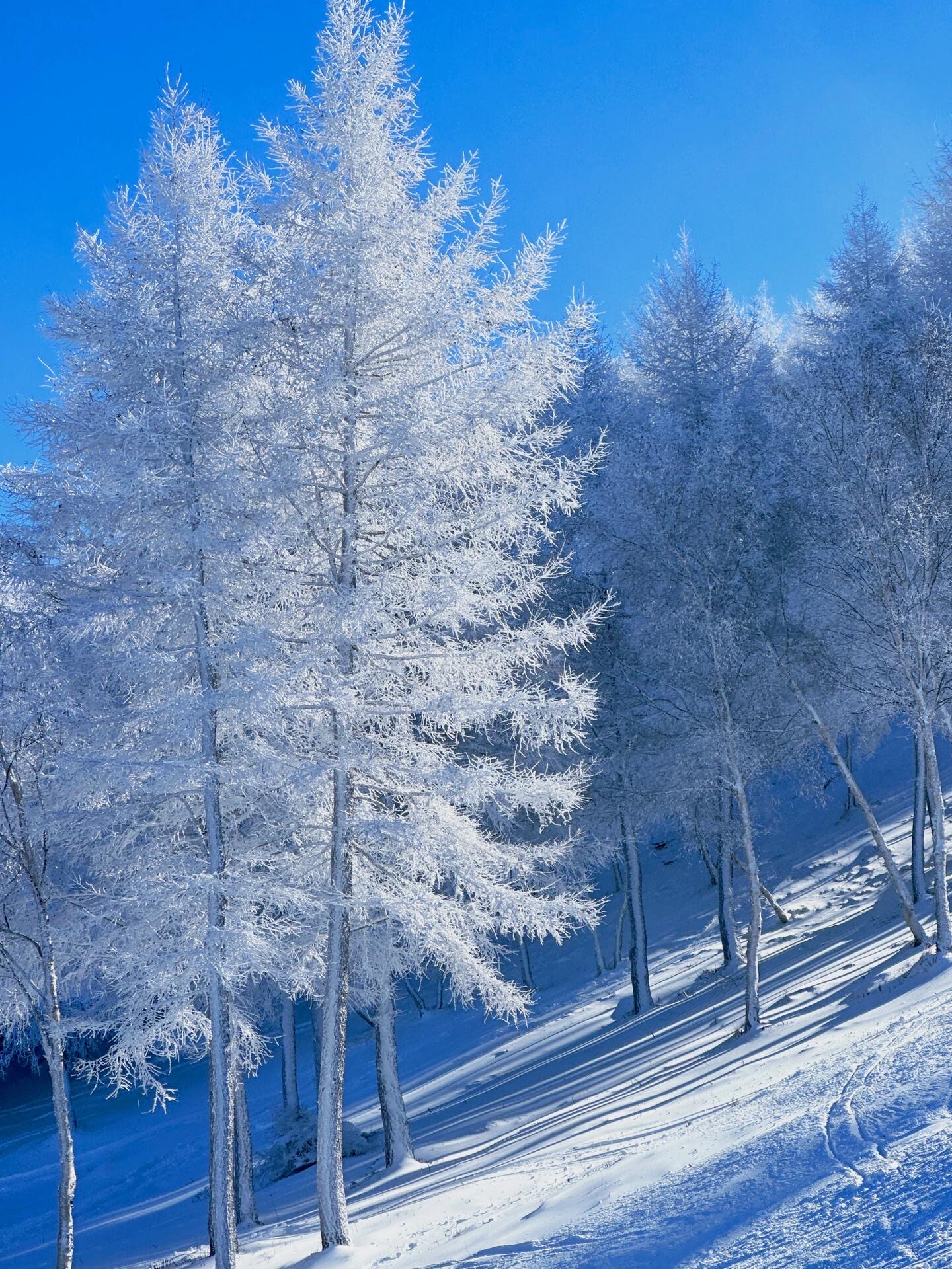 冰雪风景图片图片