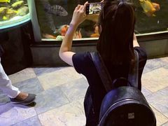 -迪拜水族馆及水下动物园