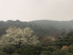 -缥缈峰景区