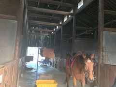 -百翠山居.家飨餐厅