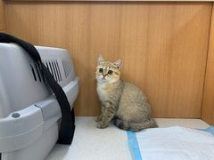 -联合动物医院(光谷诊疗中心)