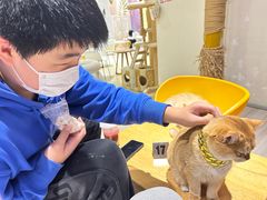 -藏猫猫咖啡主题馆(中央大道店)