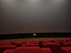-金逸影城(大悦城IMAX激光店)