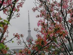 -文华公园(禅城区)