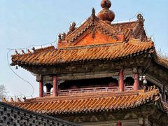 -北陵公园