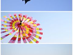 -渭河城市绿地运动公园