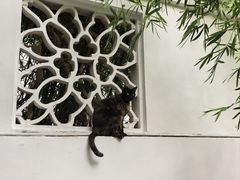 -西园寺素食(西园弄戒幢律寺店)