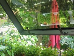 -NLFS1983咖啡花园餐厅(锦桂店)