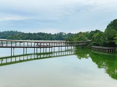 -河川生态园