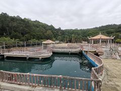 -广东惠东海龟国家级自然保护区