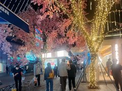 -首开·龙湖成都西宸天街