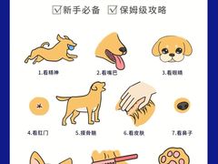 -翊宠yipet猫狗购宠庄园犬舍•猫舍