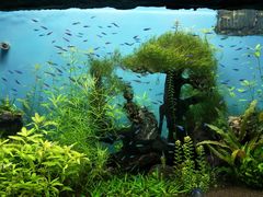 -多彩贵州城极地海洋世界