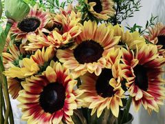 -植物学家的女儿(北马道巷店)