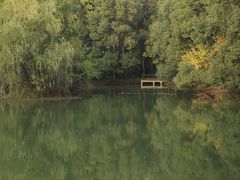 -东湖落雁景区