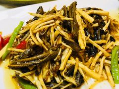 -丁老爷子苏香圆