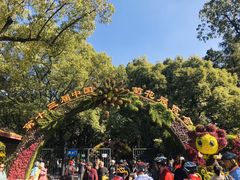 -共青国家森林公园-南大门停车场