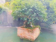 -千滋百味·醉江澜花园餐厅(街道口店)