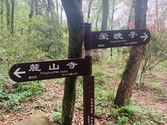 -渔乡米香·剁椒鱼头(四方坪店)