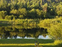 -北极村旅游风景区
