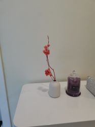 -海涛医疗美容·面部抗衰·注射美鼻