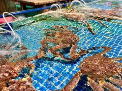 -三亚火车头万人海鲜广场