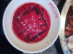 鲜鸭血-蜀国大将老火锅(江北店)