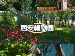 -陕西省西安植物园