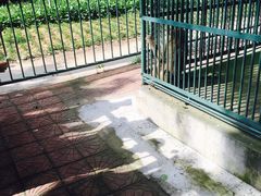 -秦皇岛野生动物园
