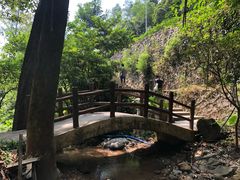 -火炉山森林公园