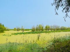 -野鸭湖国家湿地公园