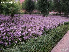 -长春公园(普阳街道)