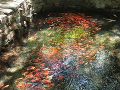 -水磨沟公园