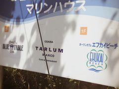 -台场海滨公园船码头