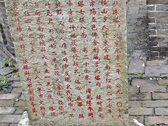 -上海佘山国家森林公园天马山园