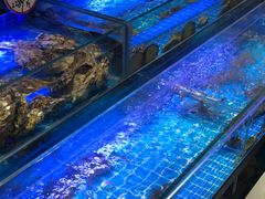 水产区-鸽子侯·家宴·平价海鲜(市图书馆店)