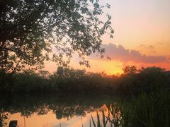 -新荣记(西溪湿地店)