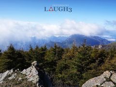 -白草畔自然风景区