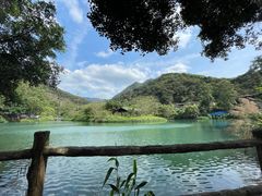 -紫云谷景区