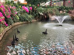 -第五季龙水凤港生态露营农场