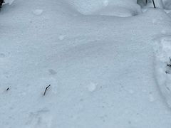 -西岭雪山大飞水景区